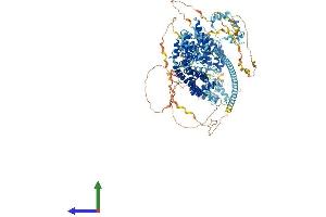 AlphaFold protein structure predicition of Mouse Recombinant Diaph1 Protein, UniprotID O08808