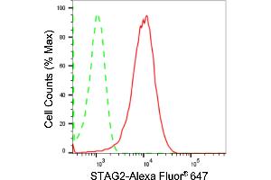 Flow cytometric analysis of STAG2 expression in HepG2 cells using STAG2 antibody (ABIN7800974), 1:2,000).