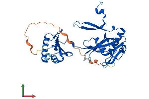 Protein Structure (PS) image for Nudix (Nucleoside Diphosphate Linked Moiety X)-Type Motif 6 (NUDT6) (AA 1-316) protein (His tag) (ABIN7549966)