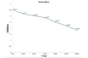 Antigen: 0. (IQCJ 抗体  (AA 47-67))