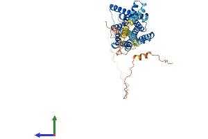 AlphaFold protein structure predicition of Human Recombinant HTR7 Protein, UniprotID P34969 (HTR7 Protein (AA 1-479) (His tag))