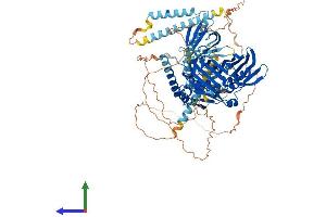 Protein Structure (PS) image for Oxysterol Binding Protein-Like 5 (OSBPL5) (AA 1-874) protein (His tag) (ABIN7565044)