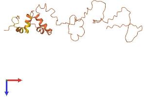 AlphaFold protein structure predicition of Human Recombinant KRTAP4-9 Protein, UniprotID Q9BYQ8