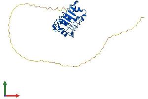 Protein Structure (PS) image for Acidic (Leucine-Rich) Nuclear phosphoprotein 32 Family, Member B (ANP32B) (AA 1-251) protein (His tag) (ABIN7552052)