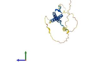 Protein Structure (PS) image for Mesogenin 1 (MSGN1) (AA 1-188) protein (His tag) (ABIN7561622)