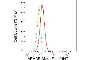 Flow cytometric analysis of APMAP expression in HepG2 cells using APMAP antibody (ABIN7797527), 1:2,000).