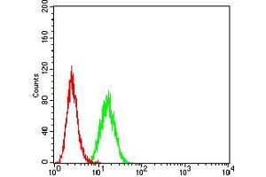 Flow Cytometry (FACS) image for anti-Glutamate Receptor, Ionotropic, N-Methyl D-Aspartate 2a (GRIN2A) (AA 23-165) antibody (ABIN5611284)