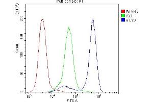 Flow Cytometry analysis of Jurkat cells using anti-CD229 antibody (ABIN6719290). (LY9 抗体)