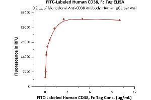 CD38 (AA 43-300) (Active) protein (Fc Tag,FITC)
