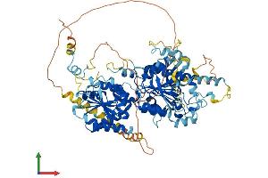 Protein Structure (PS) image for Digestive Organ Expansion Factor Homolog (DIEXF) (AA 1-772) protein (His tag) (ABIN7558882)