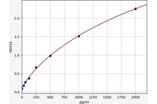 PLD1 ELISA 试剂盒