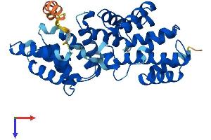 LRP2BP Protein (AA 1-346) (His tag)