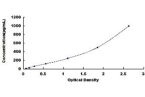 Typical standard curve (Cyclin D2 ELISA 试剂盒)
