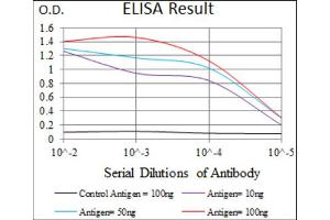 ELISA image for anti-Integrin Alpha2b (CD41) (AA 45-149) antibody (ABIN1844101)
