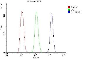 anti-Friend Leukemia Virus Integration 1 (FLI1) (AA 1-452) antibody