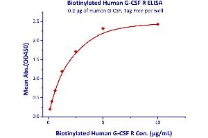 Binding Studies (Bind) image for Colony Stimulating Factor 3 Receptor (Granulocyte) (CSF3R) (AA 25-621) (Active) protein (His tag,AVI tag,Biotin) (ABIN3137667)
