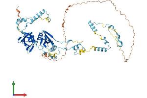 Protein Structure (PS) image for tRNA Splicing Endonuclease 54 (TSEN54) (AA 1-525) protein (His tag) (ABIN7564504)