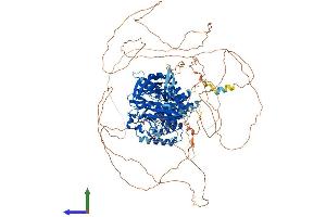 Protein Structure (PS) image for Protein tyrosine Phosphatase, Non-Receptor Type 21 (PTPN21) (AA 1-1174) protein (His tag) (ABIN7555090)