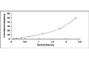 Typical standard curve (CST3 ELISA 试剂盒)