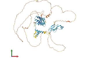 Protein Structure (PS) image for Mediator Complex Subunit 26 (MED26) (AA 1-588) protein (His tag) (ABIN7564192)