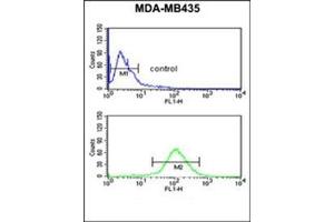 Flow Cytometry (FACS) image for anti-Nuclear Prelamin A Recognition Factor-Like (NARFL) (AA 247-277), (Middle Region) antibody (ABIN953603)