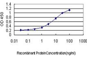 Detection limit for recombinant GST tagged ENO2 is approximately 0. (ENO2/NSE 抗体  (AA 325-434))