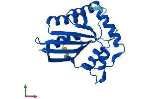 AlphaFold protein structure predicition of Human Recombinant APOBEC3C Protein, UniprotID Q9NRW3
