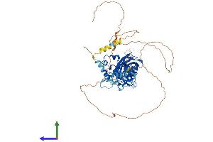 AlphaFold protein structure predicition of Human Recombinant EBF3 Protein, UniprotID Q9H4W6