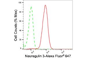 anti-Neuregulin 3 (NRG3) antibody
