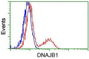 HEK293T cells transfected with either RC201762 overexpress plasmid (Red) or empty vector control plasmid (Blue) were immunostained by anti-DNAJB1 antibody (ABIN2454060), and then analyzed by flow cytometry. (DNAJB1 抗体)