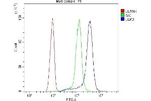 Flow Cytometry analysis of THP-1 cells using anti-ULK3 antibody (ABIN3043954). (ULK3 抗体  (C-Term))