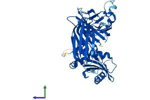 Protein Structure (PS) image for Adaptor-Related Protein Complex 1, mu 2 Subunit (AP1m2) (AA 1-423) protein (His tag) (ABIN7556331)