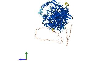 Protein Structure (PS) image for Glucosidase, beta (Bile Acid) 2 (GBA2) (AA 1-927) protein (His tag) (ABIN7553991)