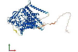 AlphaFold protein structure predicition of Human Recombinant LMF2 Protein, UniprotID Q9BU23