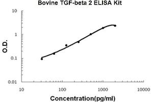 Bovine TGF-beta 2 PicoKine ELISA Kit standard curve (TGFB2 ELISA 试剂盒)