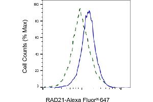 Validation of RAD21 knockdown using flow cytometry. (Recombinant RAD21 抗体)