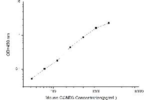 Cyclin D3 ELISA 试剂盒