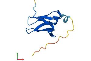 AlphaFold protein structure predicition of Mouse Recombinant Dph3 Protein, UniprotID Q8K0W9