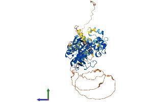 AlphaFold protein structure predicition of Mouse Recombinant Parp6 Protein, UniprotID Q6P6P7