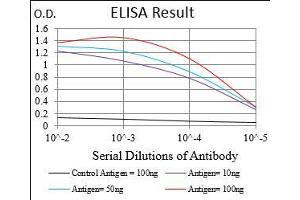 Black line: Control Antigen (100 ng), Purple line: Antigen(10 ng), Blue line: Antigen (50 ng), Red line: Antigen (100 ng), (CSF1R 抗体  (AA 344-497))