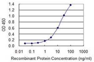 Detection limit for recombinant GST tagged CGB7 is 0. (CGB7 抗体  (AA 56-165))