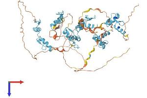 ZNF48 Protein (AA 1-618) (His tag)