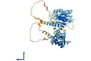 AlphaFold protein structure predicition of Mouse Recombinant Igf2bp3 Protein, UniprotID Q9CPN8 (IGF2BP3 Protein (AA 1-579) (His tag))