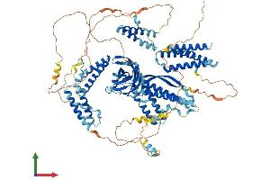 AlphaFold protein structure predicition of Human Recombinant CC2D1A Protein, UniprotID Q6P1N0 (CC2D1A Protein (AA 1-951) (His tag))