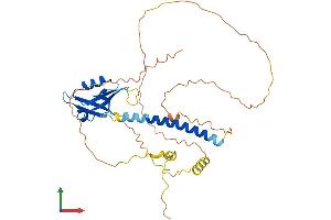 AlphaFold protein structure predicition of Mouse Recombinant Cytip Protein, UniprotID Q91VY6