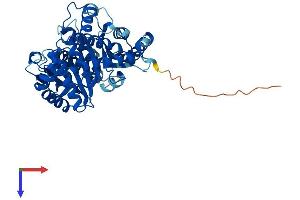 TUBB1 Protein (AA 1-451) (His tag)