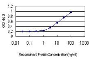 Detection limit for recombinant GST tagged TEK is approximately 0. (TEK 抗体  (AA 701-800))