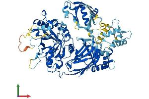 Protein Structure (PS) image for phospholipase C, delta 1 (PLCD1) (AA 1-756) protein (His tag) (ABIN7550803)