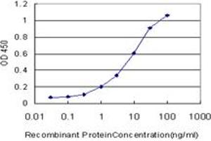 Detection limit for recombinant GST tagged MYOG is approximately 0. (Myogenin 抗体  (AA 1-224))