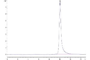 Size-exclusion chromatography-High Pressure Liquid Chromatography (SEC-HPLC) image for Interleukin 3 (IL-3) (AA 20-143) protein (His tag) (ABIN7274935)